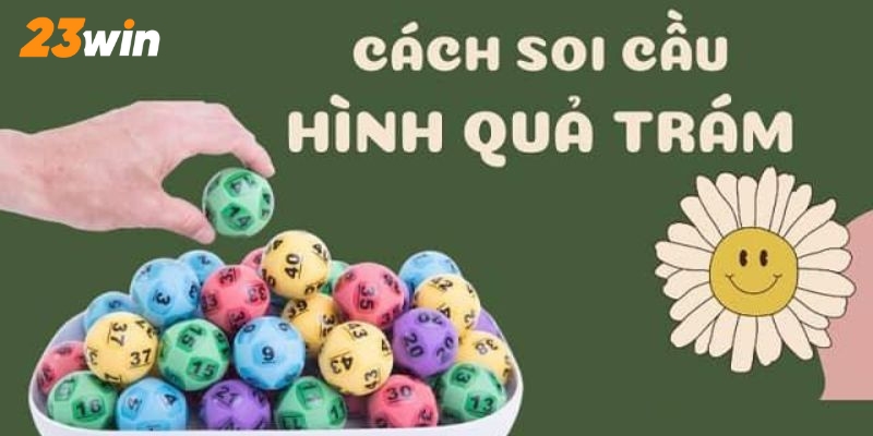 Các cách soi cầu quả trám chi tiết nhất tại nhà cái