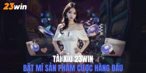 tài xỉu 23win