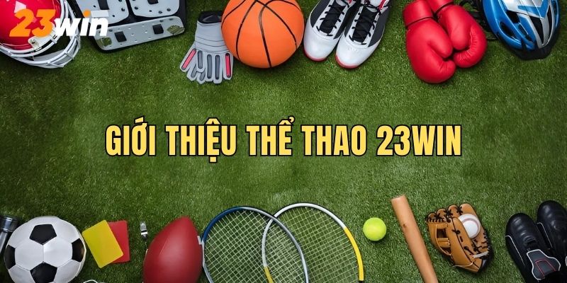 Giới thiệu tổng quan về sảnh sports online 23Win